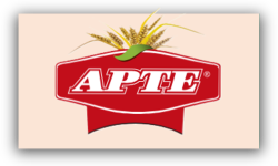 ARTE LOGO